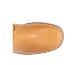 Outlet Dingo Boot Women's Avalon Knee High Boots